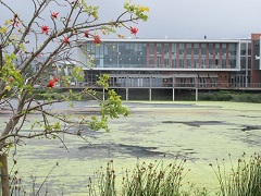 Commercial Architecture Somerset West
